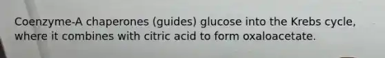 Coenzyme-A chaperones (guides) glucose into the <a href='https://www.questionai.com/knowledge/kqfW58SNl2-krebs-cycle' class='anchor-knowledge'>krebs cycle</a>, where it combines with citric acid to form oxaloacetate.