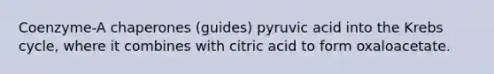 Coenzyme-A chaperones (guides) pyruvic acid into the Krebs cycle, where it combines with citric acid to form oxaloacetate.