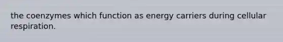 the coenzymes which function as energy carriers during cellular respiration.