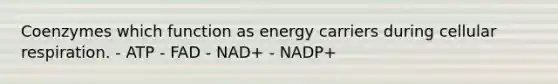 Coenzymes which function as energy carriers during cellular respiration. - ATP - FAD - NAD+ - NADP+