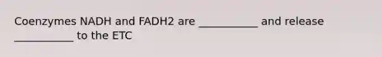 Coenzymes NADH and FADH2 are ___________ and release ___________ to the ETC