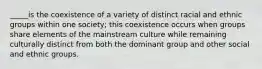 _____is the coexistence of a variety of distinct racial and ethnic groups within one society; this coexistence occurs when groups share elements of the mainstream culture while remaining culturally distinct from both the dominant group and other social and ethnic groups.