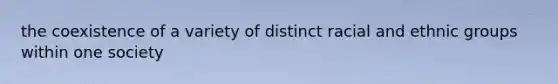 the coexistence of a variety of distinct racial and ethnic groups within one society