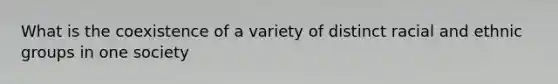 What is the coexistence of a variety of distinct racial and ethnic groups in one society