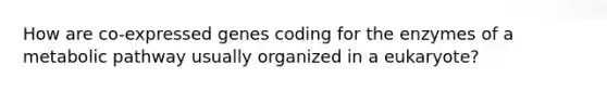 How are co-expressed genes coding for the enzymes of a metabolic pathway usually organized in a eukaryote?