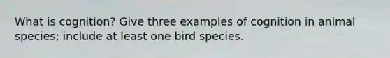 What is cognition? Give three examples of cognition in animal species; include at least one bird species.