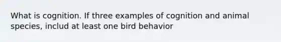 What is cognition. If three examples of cognition and animal species, includ at least one bird behavior