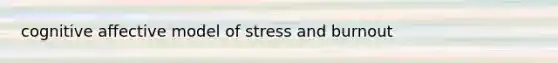 cognitive affective model of stress and burnout