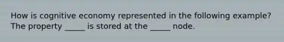 How is cognitive economy represented in the following example? The property _____ is stored at the _____ node.