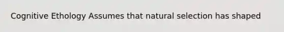 Cognitive Ethology Assumes that natural selection has shaped