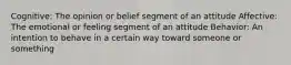 Cognitive: The opinion or belief segment of an attitude Affective: The emotional or feeling segment of an attitude Behavior: An intention to behave in a certain way toward someone or something