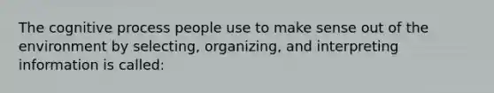 The cognitive process people use to make sense out of the environment by selecting, organizing, and interpreting information is called: