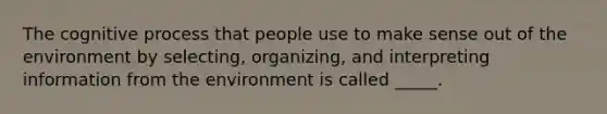 The cognitive process that people use to make sense out of the environment by selecting, organizing, and interpreting information from the environment is called _____.