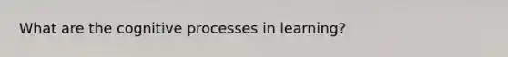 What are the cognitive processes in learning?