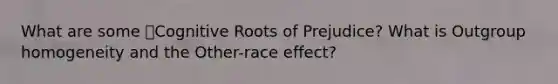 What are some Cognitive Roots of Prejudice? What is Outgroup homogeneity and the Other-race effect?