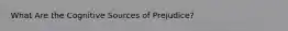 What Are the Cognitive Sources of Prejudice?