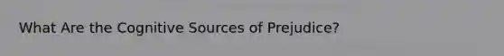 What Are the Cognitive Sources of Prejudice?