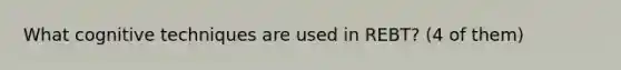 What cognitive techniques are used in REBT? (4 of them)