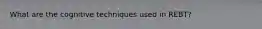 What are the cognitive techniques used in REBT?