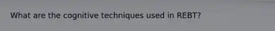 What are the cognitive techniques used in REBT?