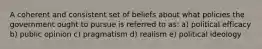 A coherent and consistent set of beliefs about what policies the government ought to pursue is referred to as: a) political efficacy b) public opinion c) pragmatism d) realism e) political ideology