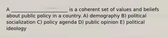 A ________________________ is a coherent set of values and beliefs about public policy in a country. A) demography B) <a href='https://www.questionai.com/knowledge/kcddeKilOR-political-socialization' class='anchor-knowledge'>political socialization</a> C) policy agenda D) public opinion E) <a href='https://www.questionai.com/knowledge/kFKhV6szLO-political-ideology' class='anchor-knowledge'>political ideology</a>