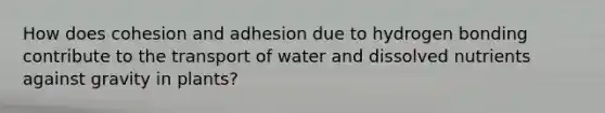 How does cohesion and adhesion due to hydrogen bonding contribute to the transport of water and dissolved nutrients against gravity in plants?