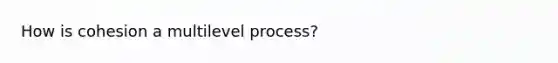 How is cohesion a multilevel process?