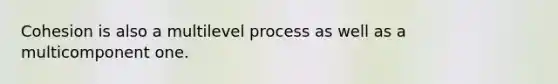 Cohesion is also a multilevel process as well as a multicomponent one.