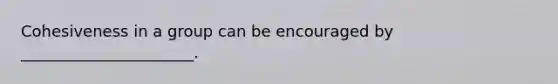 Cohesiveness in a group can be encouraged by​ ______________________.