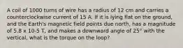 A coil of 1000 turns of wire has a radius of 12 cm and carries a counterclockwise current of 15 A. If it is lying flat on the ground, and the Earth's magnetic field points due north, has a magnitude of 5.8 x 10-5 T, and makes a downward angle of 25° with the vertical, what is the torque on the loop?