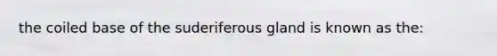 the coiled base of the suderiferous gland is known as the: