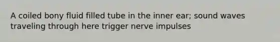 A coiled bony fluid filled tube in the inner ear; sound waves traveling through here trigger nerve impulses