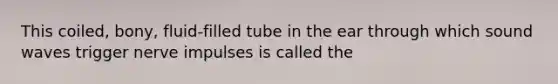 This coiled, bony, fluid-filled tube in the ear through which sound waves trigger nerve impulses is called the