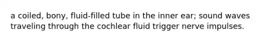 a coiled, bony, fluid-filled tube in the inner ear; sound waves traveling through the cochlear fluid trigger <a href='https://www.questionai.com/knowledge/kiql3Tp3Ps-nerve-impulses' class='anchor-knowledge'>nerve impulses</a>.