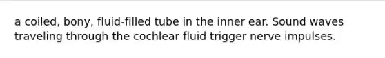 a coiled, bony, fluid-filled tube in the inner ear. Sound waves traveling through the cochlear fluid trigger nerve impulses.