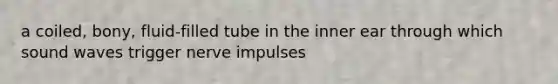 a coiled, bony, fluid-filled tube in the inner ear through which sound waves trigger nerve impulses