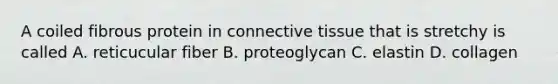 A coiled fibrous protein in connective tissue that is stretchy is called A. reticucular fiber B. proteoglycan C. elastin D. collagen