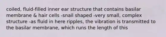 coiled, fluid-filled inner ear structure that contains basilar membrane & hair cells -snail shaped -very small, complex structure -as fluid in here ripples, the vibration is transmitted to the basilar membrane, which runs the length of this