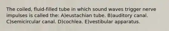 The coiled, fluid-filled tube in which sound waves trigger nerve impulses is called the: A)eustachian tube. B)auditory canal. C)semicircular canal. D)cochlea. E)vestibular apparatus.