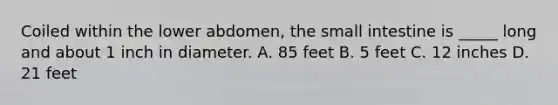 Coiled within the lower​ abdomen, the small intestine is​ _____ long and about 1 inch in diameter. A. 85 feet B. 5 feet C. 12 inches D. 21 feet