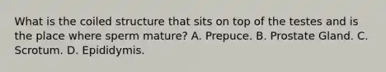 What is the coiled structure that sits on top of the testes and is the place where sperm mature? A. Prepuce. B. Prostate Gland. C. Scrotum. D. Epididymis.