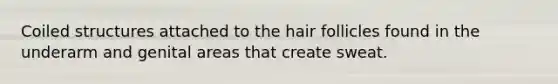 Coiled structures attached to the hair follicles found in the underarm and genital areas that create sweat.