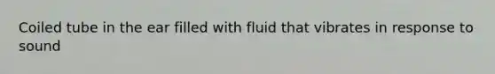 Coiled tube in the ear filled with fluid that vibrates in response to sound