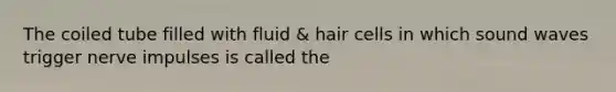 The coiled tube filled with fluid & hair cells in which sound waves trigger nerve impulses is called the