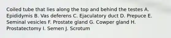 Coiled tube that lies along the top and behind the testes A. Epididymis B. Vas deferens C. Ejaculatory duct D. Prepuce E. Seminal vesicles F. Prostate gland G. Cowper gland H. Prostatectomy I. Semen J. Scrotum