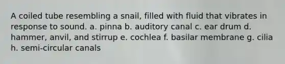 A coiled tube resembling a snail, filled with fluid that vibrates in response to sound. a. pinna b. auditory canal c. ear drum d. hammer, anvil, and stirrup e. cochlea f. basilar membrane g. cilia h. semi-circular canals