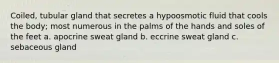 Coiled, tubular gland that secretes a hypoosmotic fluid that cools the body; most numerous in the palms of the hands and soles of the feet a. apocrine sweat gland b. eccrine sweat gland c. sebaceous gland