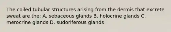 The coiled tubular structures arising from the dermis that excrete sweat are the: A. sebaceous glands B. holocrine glands C. merocrine glands D. sudoriferous glands