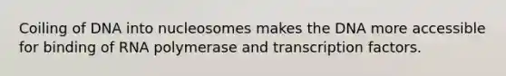 Coiling of DNA into nucleosomes makes the DNA more accessible for binding of RNA polymerase and transcription factors.